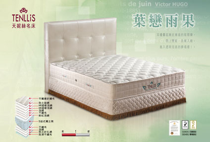 2010.10.04 新!天妮絲名床推出最新產品葉戀雨果,給最辛苦的上班族 Tenllis 2010 New Arrival