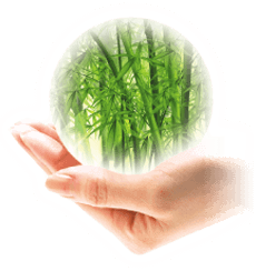 Bamboo Fiber Antimicrobial Textile Bamboo Fiber Antimicrobial Textile